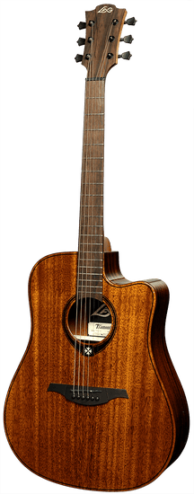 Dreadnought Cutaway Electro