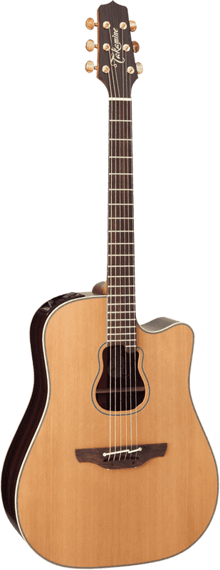 Signature Garth Brooks Dreadnought Electro