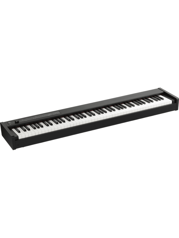 Piano D1