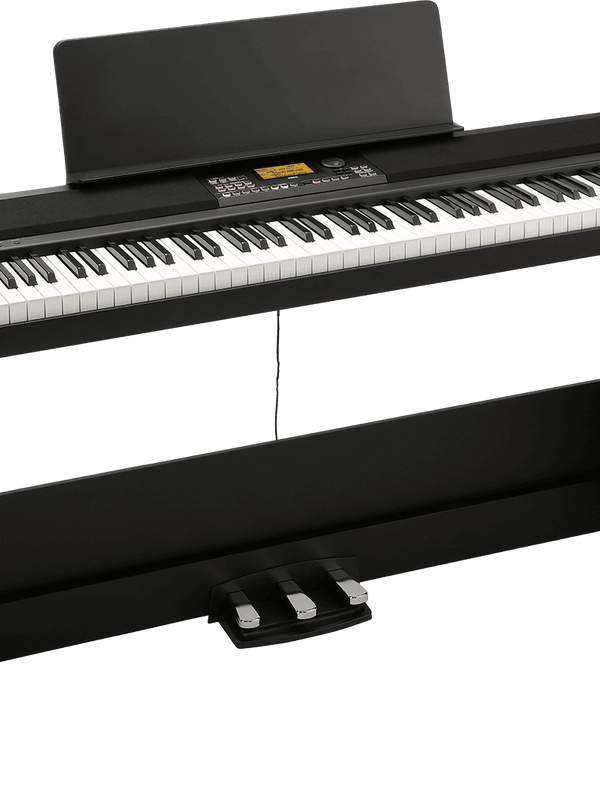Piano Arrangeur Xe20 88 Notes Et Son Stand