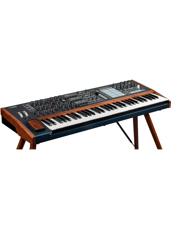 Synthetiseur Analogique Polybrute