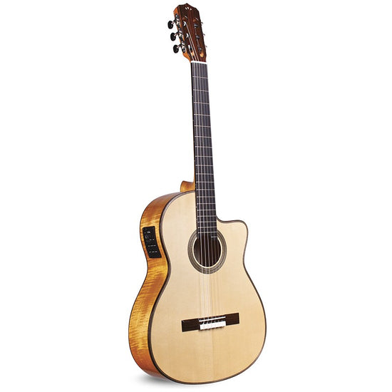 Fusion 12 Maple