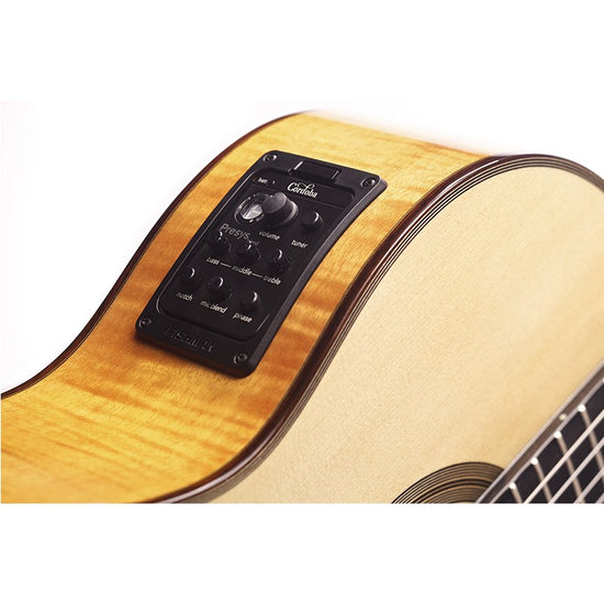 Fusion 12 Maple