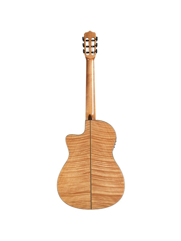 Fusion 14 Maple