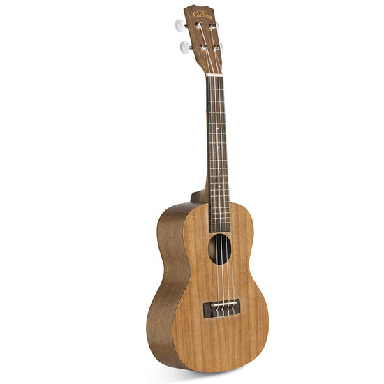 Up100 Pack Ukulele