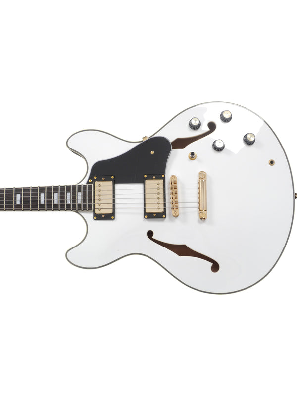 H7 Wh Hollow Body En