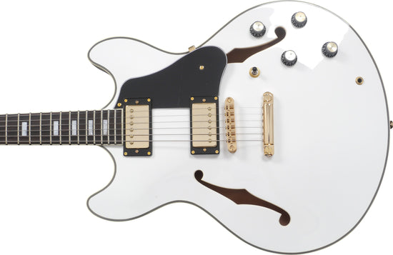 H7 Wh Hollow Body En
