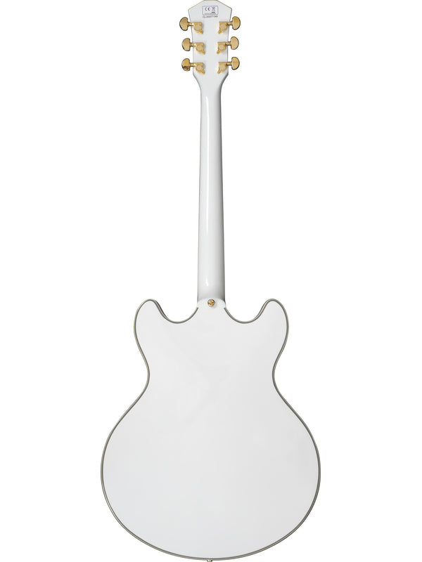 H7 Wh Hollow Body En
