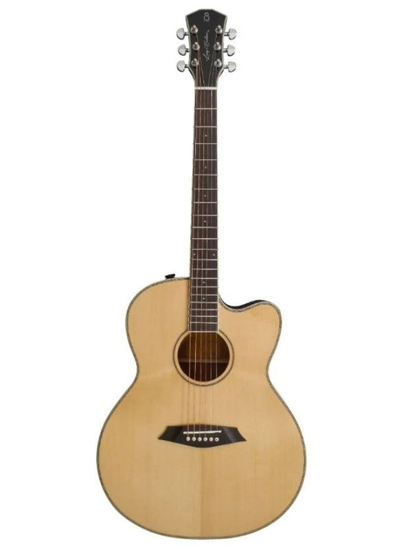 Larry Carlton Folk Auditorium Electro - Naturel