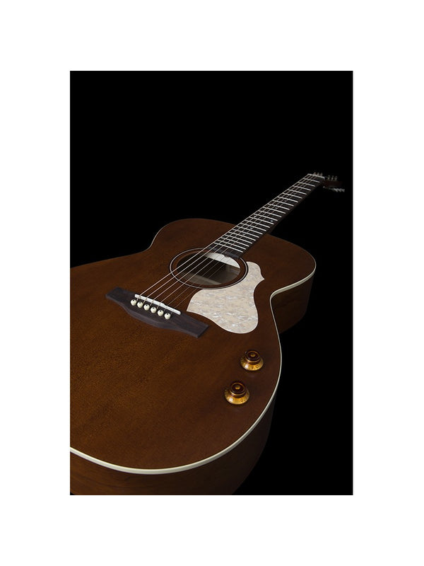 Legacy Havana Brown Ch Q-D