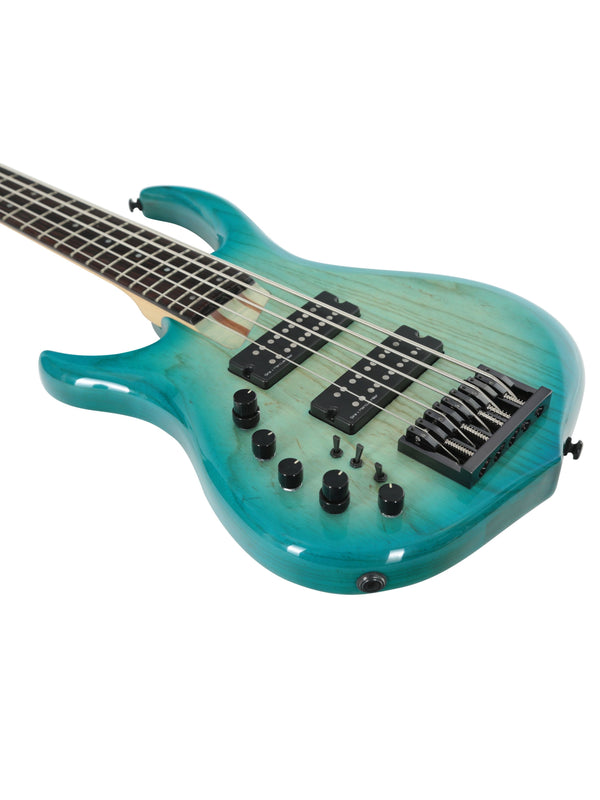 M5 Swamp Ash-5 Tbl Lh