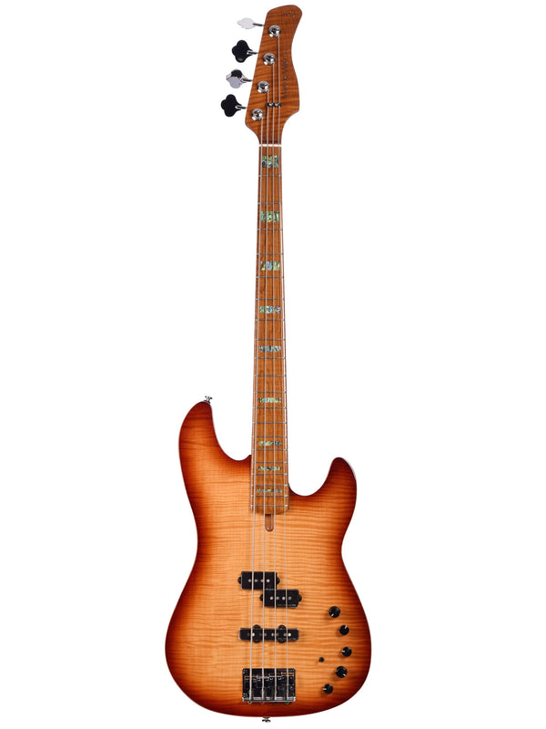 P10 Alder-4 Ts
