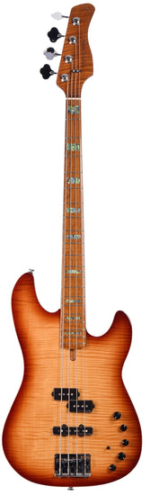 P10 Alder-4 Ts