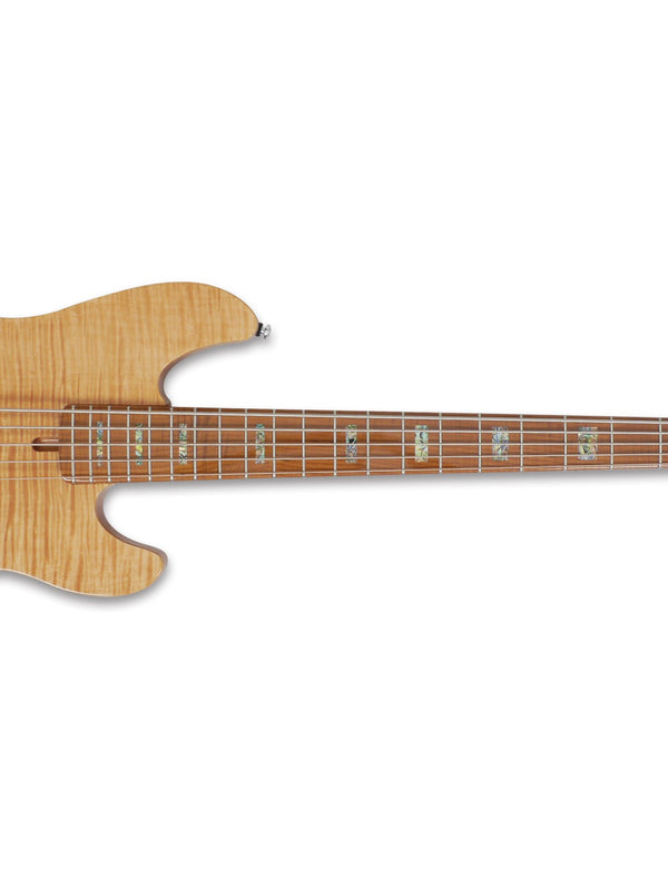 P10 Alder-5 Nt