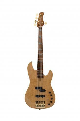 P10 DX Alder-5 NT MN + étui