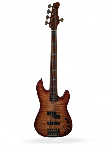 P10 DX Alder-5 TS FL MN + étui