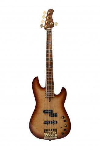 P10 DX Alder-5 TS MN + étui