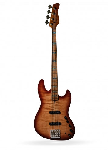 V10 DX Swamp Ash-4 TS MN + étui