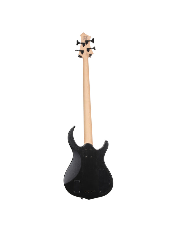 M2-4 Lh Tbk Rn Transparent Black Gauchère