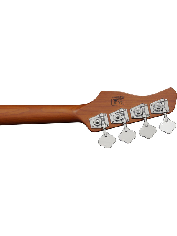 P5 Alder-4 Ts