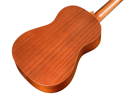 U1B Ukulélé Baryton