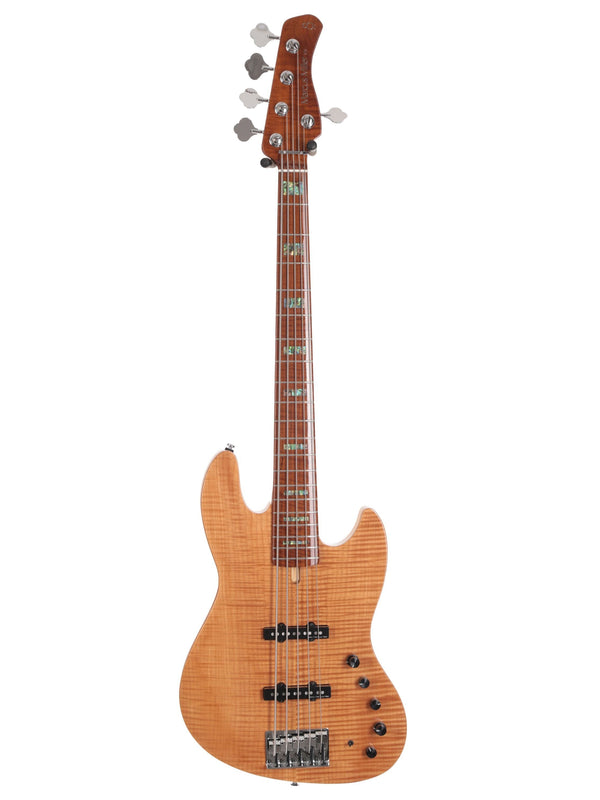 V10 Swamp Ash-5 Ts Mn + Housse